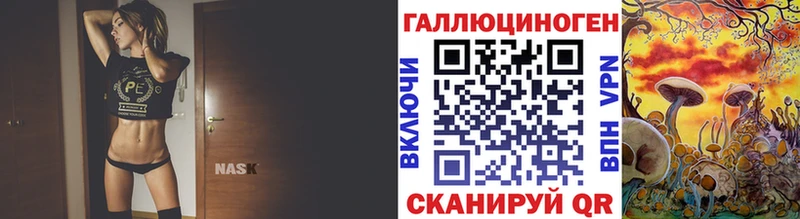 даркнет состав  Ленинградская  Псилоцибиновые грибы MAGIC MUSHROOMS 